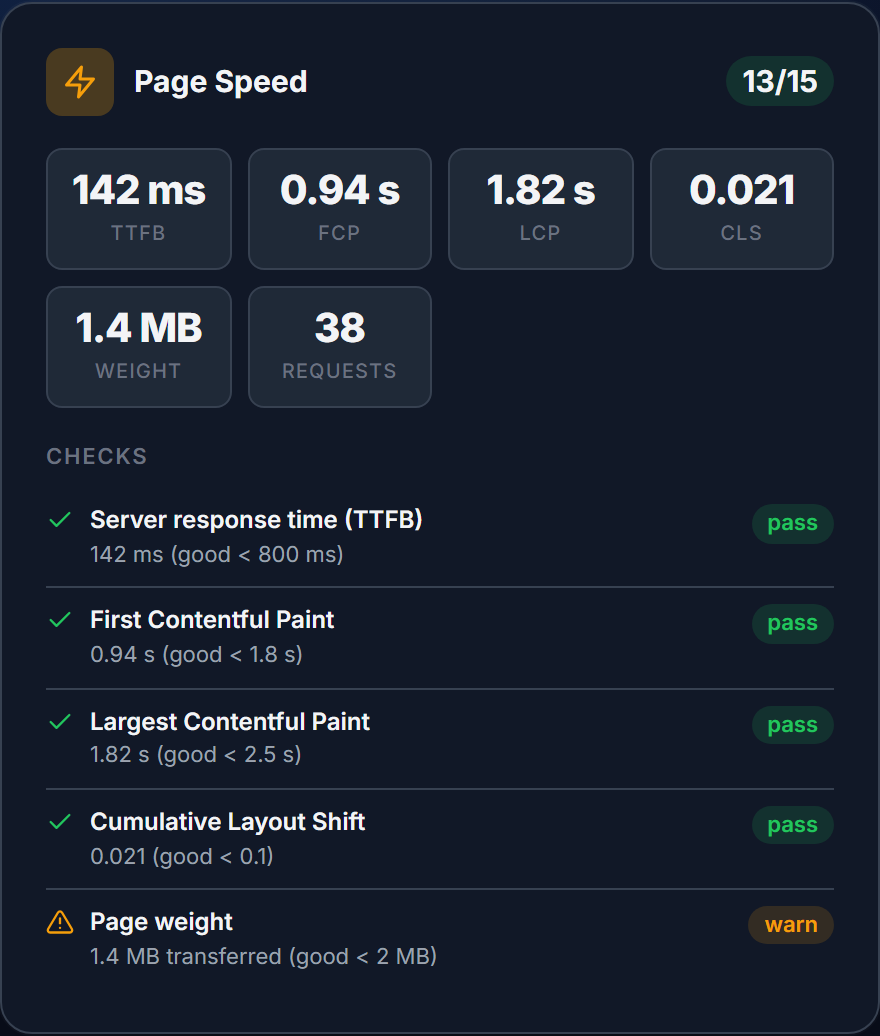 Page Speed module showing TTFB, FCP, LCP and CLS values with pass and warn results graded against Google's thresholds